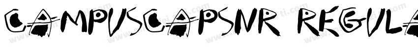 CampusCapsNr Regula字体转换